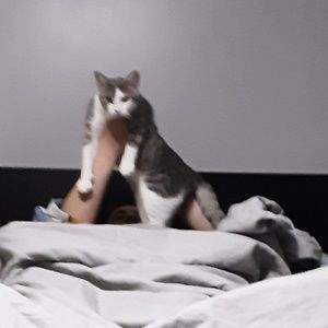 Meet your Posher, Marie